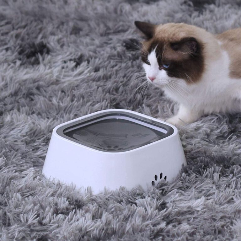 Smart Water Bowl