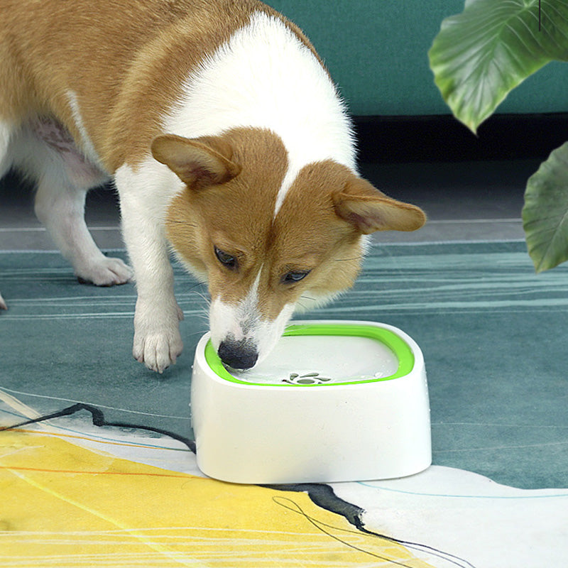 Smart Water Bowl